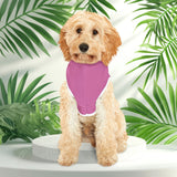 Pet Hoodie