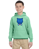 BLUE BEAR Youth Hoodie